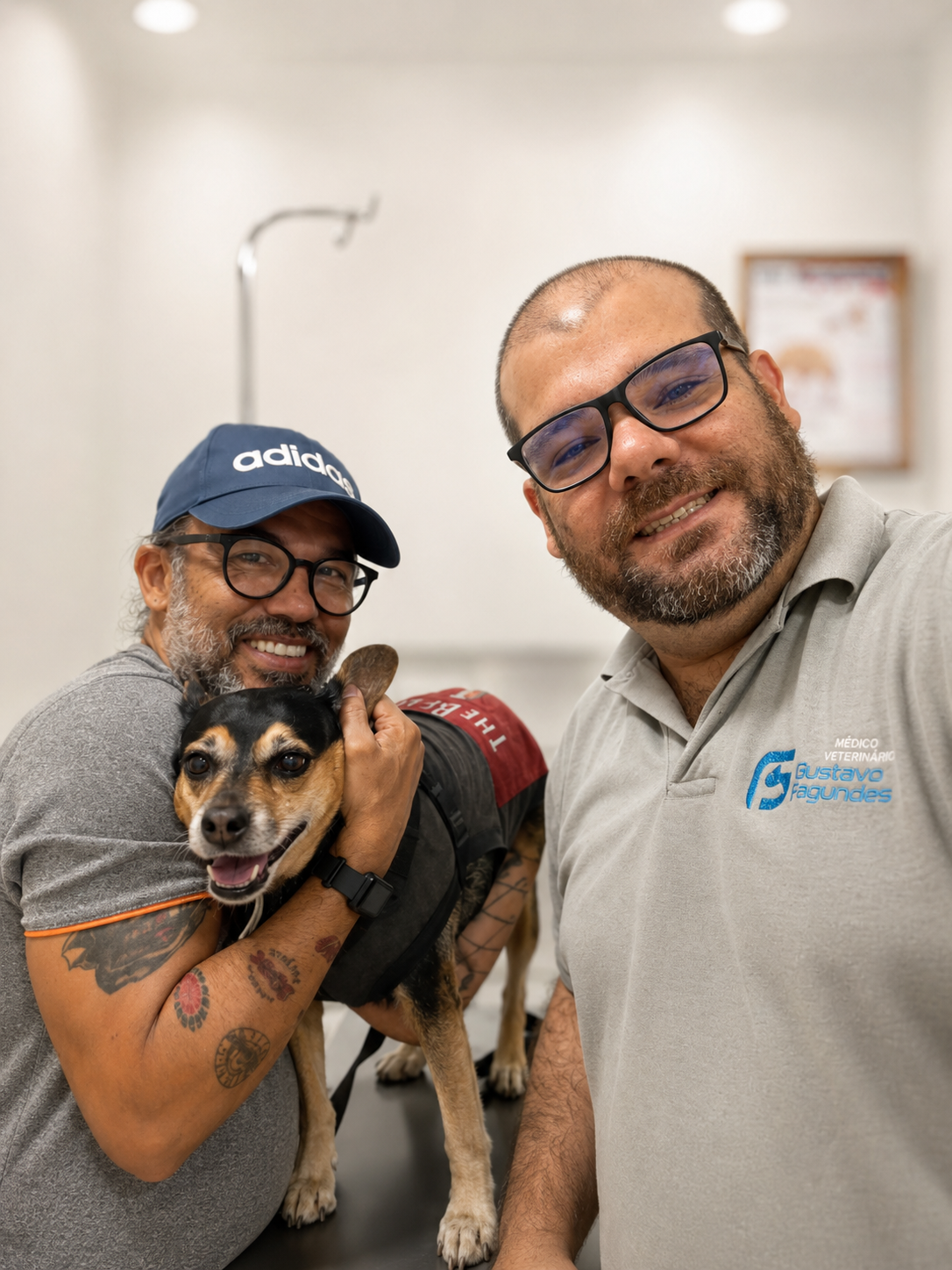Atendimento veterinário 4